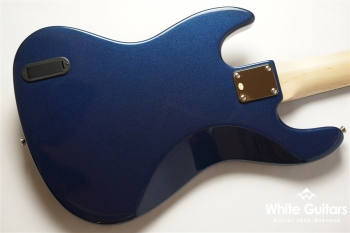 WJB5-580/R-Act - DLPB